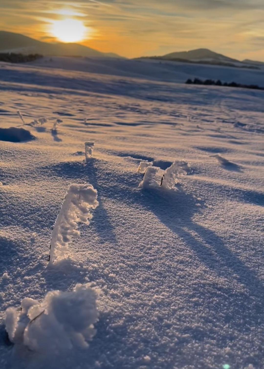 Zlatibor Hills Royal Διαμέρισμα Εξωτερικό φωτογραφία